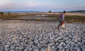 Un hombre cruza tierras de cultivo resecas en la provincia de Nusa Tenggara Oriental, Indonesia.