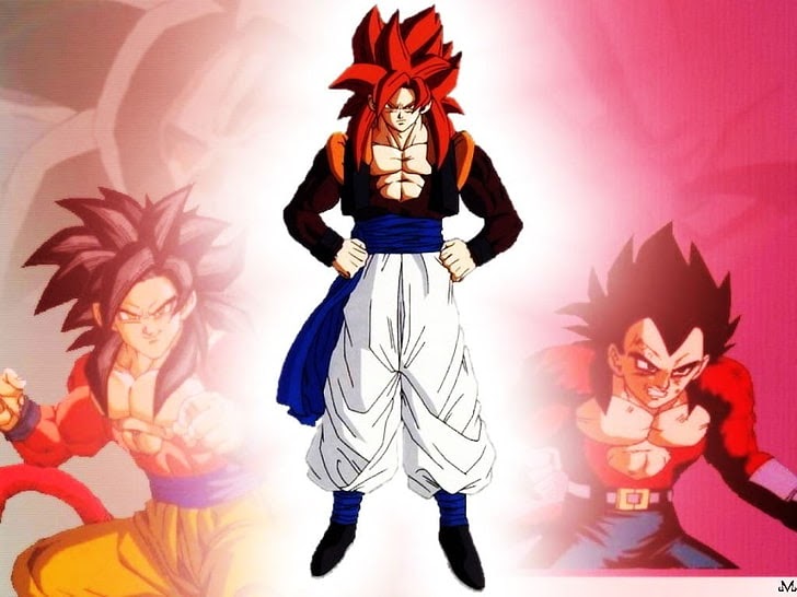ドラゴンボール 壁紙 ゴジータ4 Udin