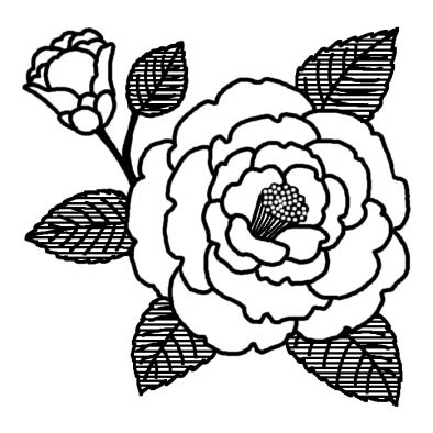 驚くばかり椿 花 イラスト 白黒 ディズニー画像のすべて