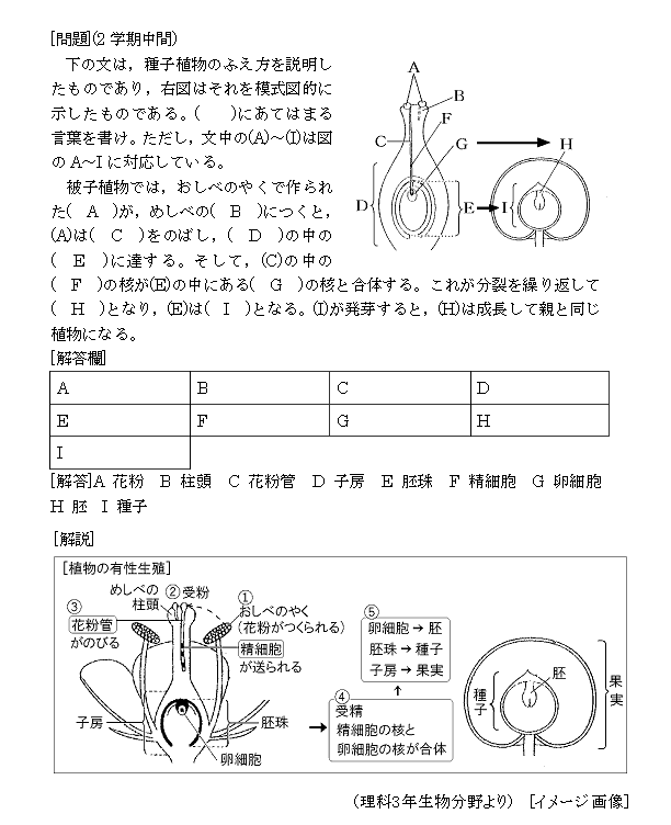ユニーク中1 美術 期末テスト 最高のカラーリングのアイデア