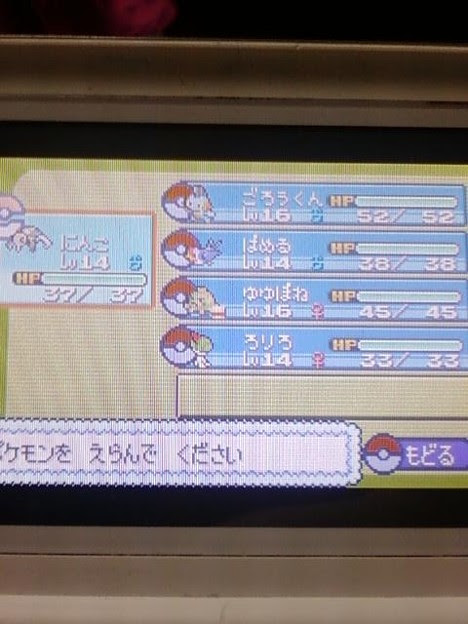 完了しました ポケモン エメラルド 最強パーティー 最高のイラストや漫画