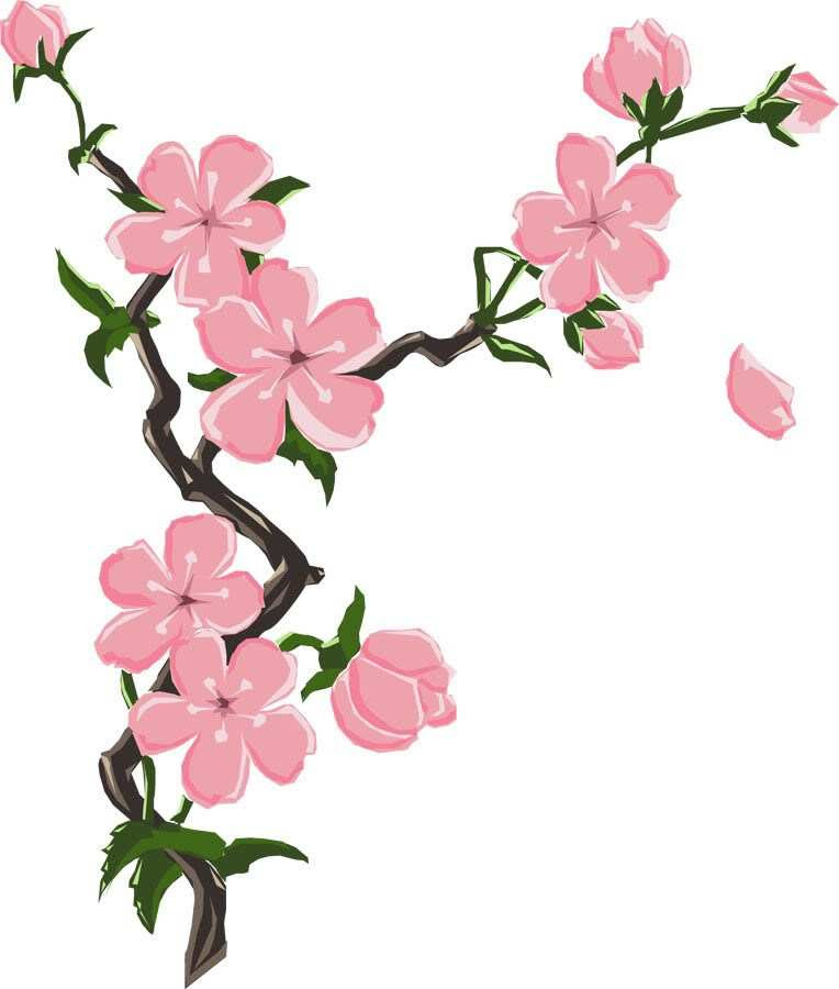 Gambar Bunga  Sakura  Kartun  Png
