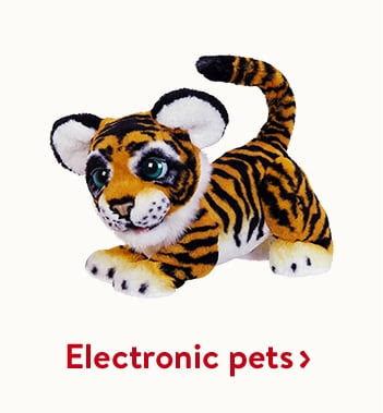 Electronic pets