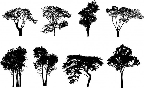 pozie Gambar  Vektor Pohon  Siluet  Png