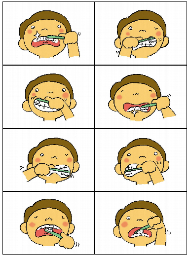 新着歯磨き イラスト 手順 美しい花の画像