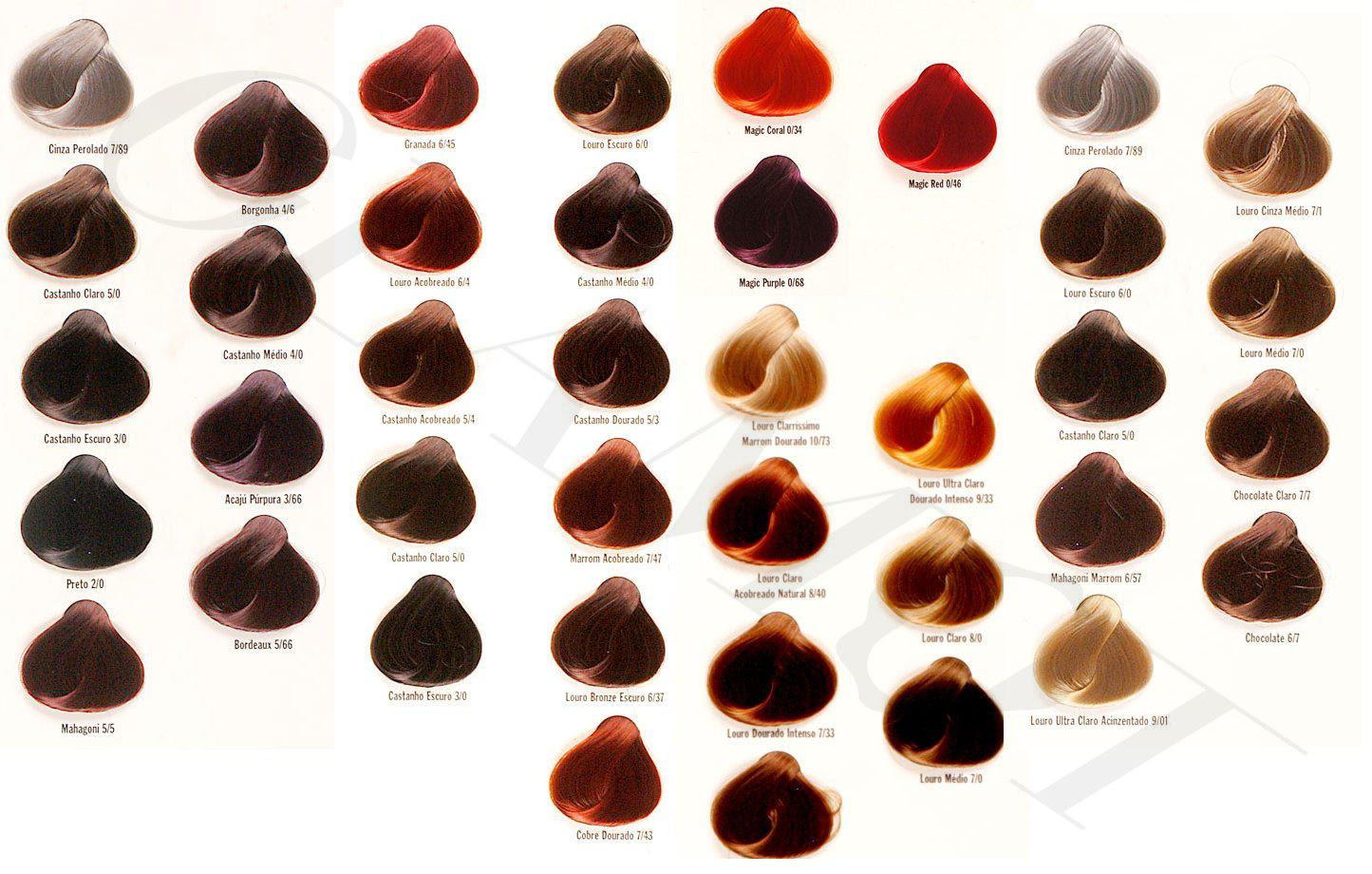 Carta De Colores Evolution - Contoh Kar