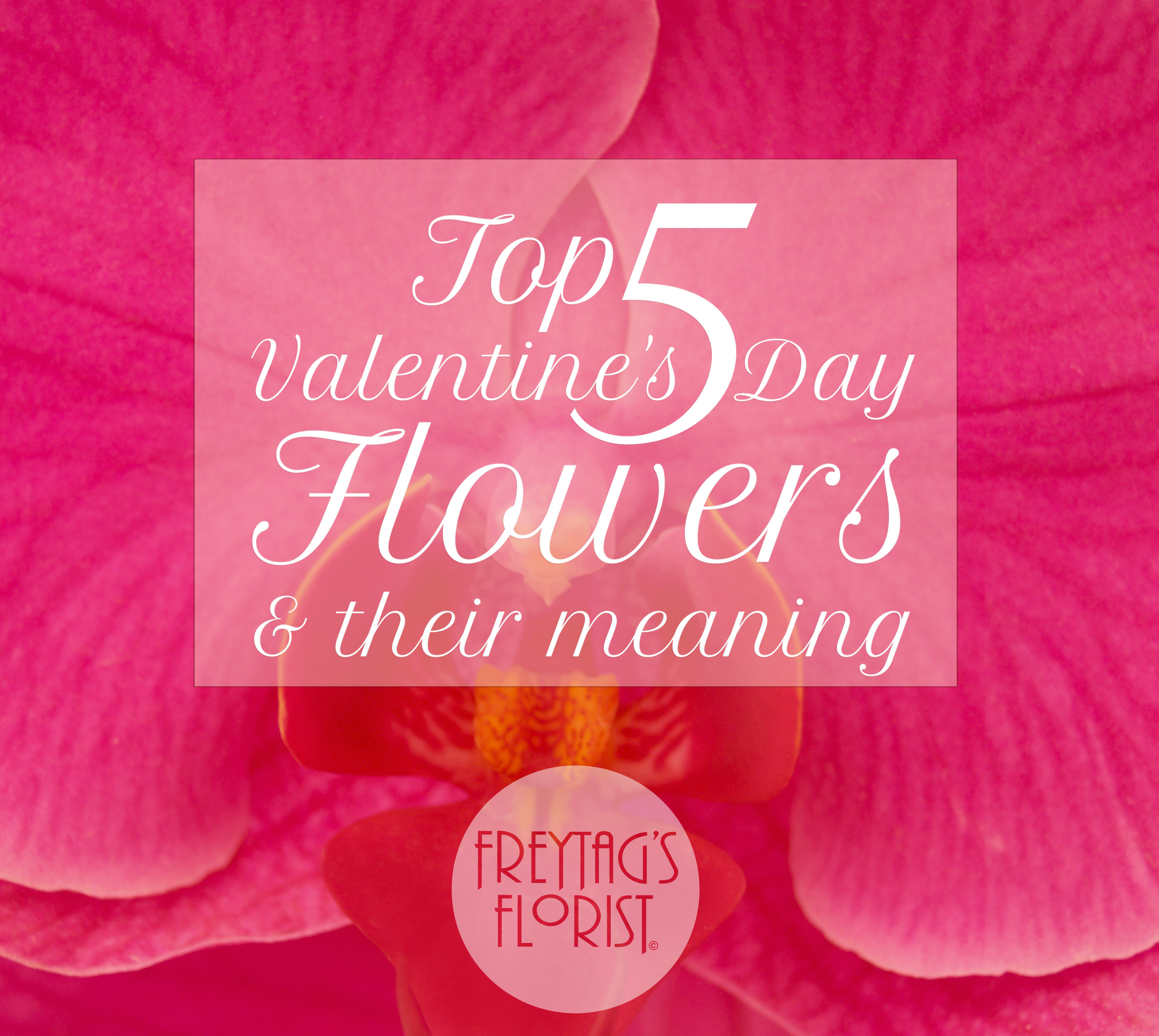 How it became so popular?read some interesting valentine's day facts and trivia. Top Five Valentine S Day Flowers And Their Meaning Freytags Florist Freytags Florist