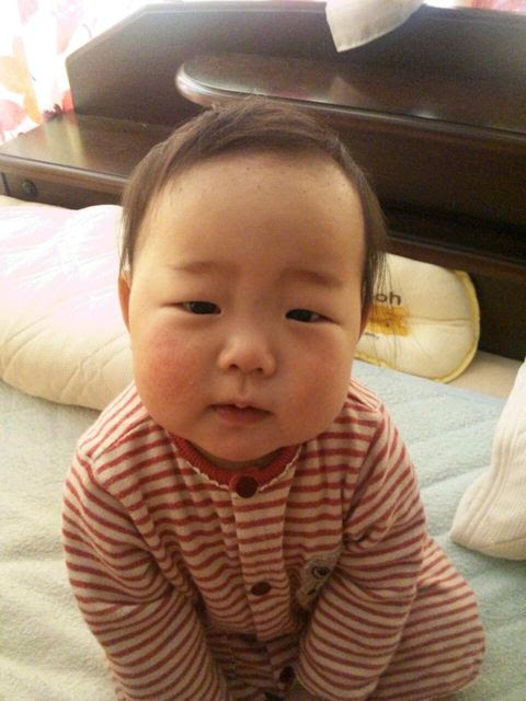エレガント一重 可愛い赤ちゃん 日本人 最高の動物画像