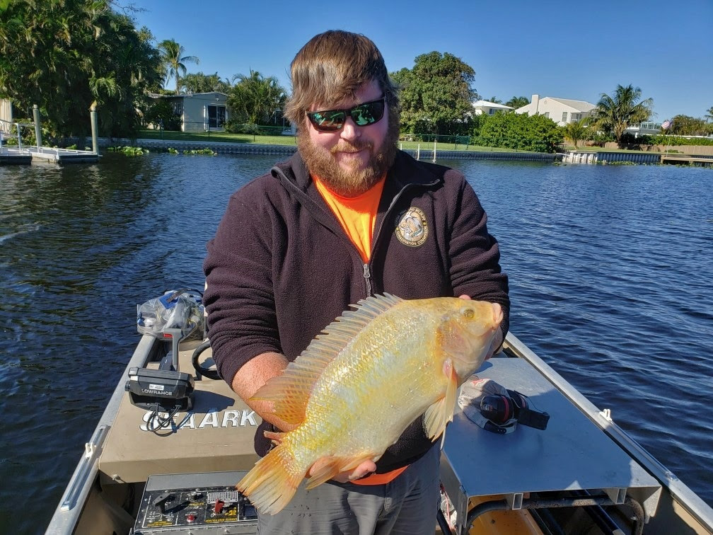 xanthictilapia