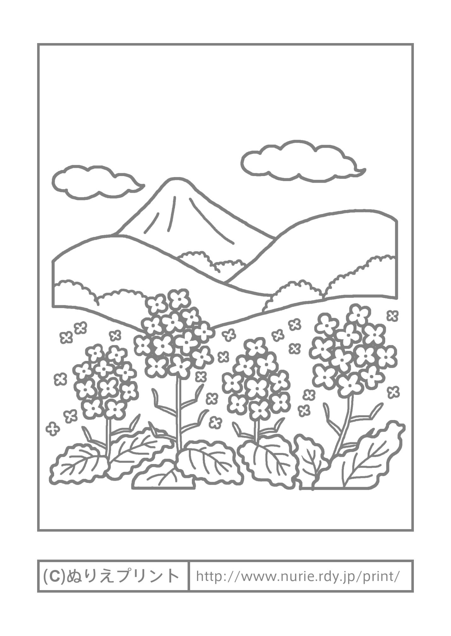 塗り絵 大人 春