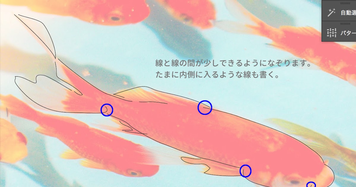 Japan Image 金魚 イラスト 綺麗
