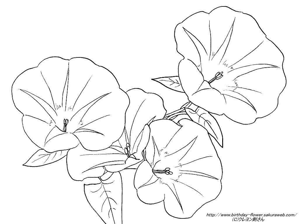 最高の花 塗り絵 簡単 最高の花の画像