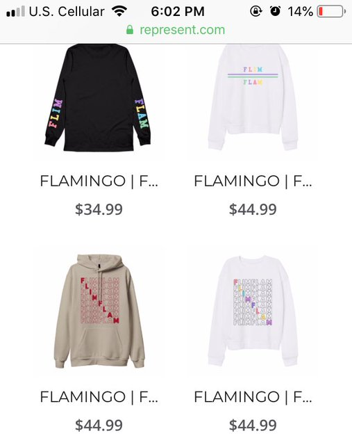 Flamingo Merch - Milk Carton Youth Hoodie Flamingo / Check ...