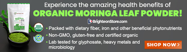 Organic-Moringa-Leaf-Powder-HRS-LNB-1