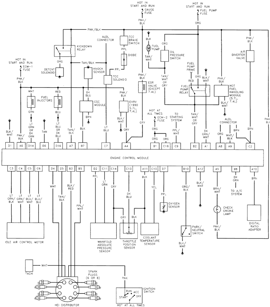 4 3 Vortec Engine Wiring Harnes Wiring Diagram Networks