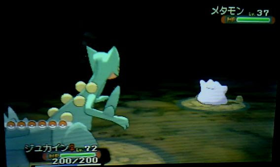 Oras マボロシ島 Oras マボロシ島 すれ違い Image4ufbza