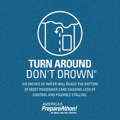 Turn Around, Don't Drown Infographic