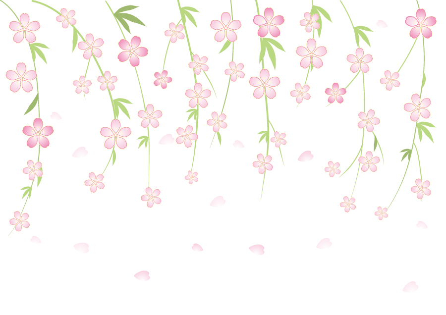 かっこいい 夜 しだれ 桜 イラスト 2684 Josspicturecqsxh