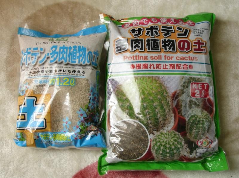 サボテン 土 ダイソー サボテン 土 ダイソー ハイドロボール