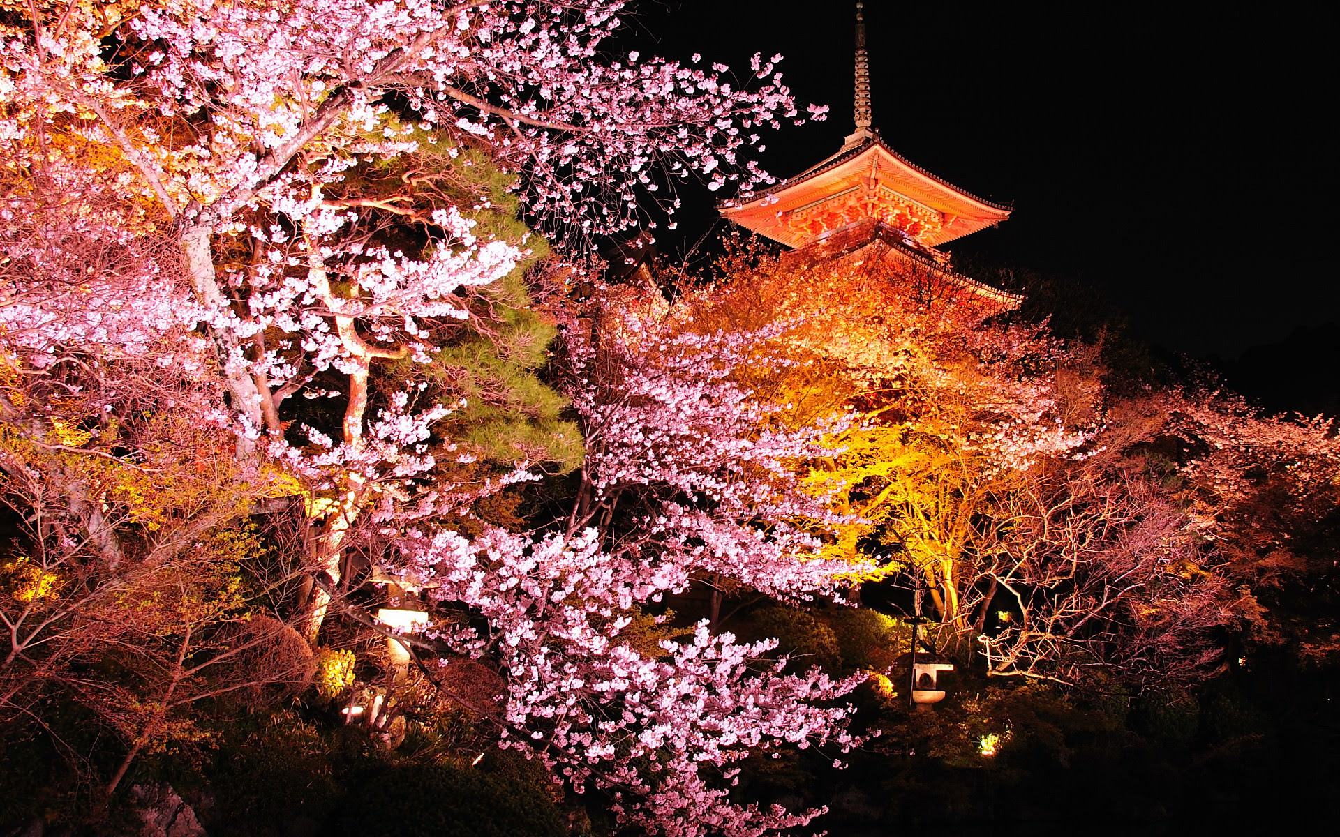 すべての美しい花の画像 上京都 壁紙 Iphone 高画質