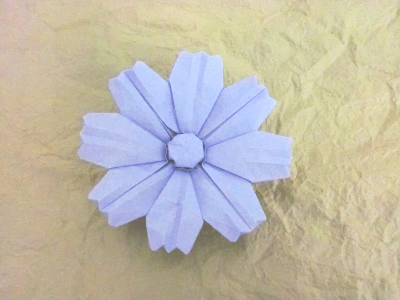 すべての美しい花の画像 50 折り紙 花 コスモス