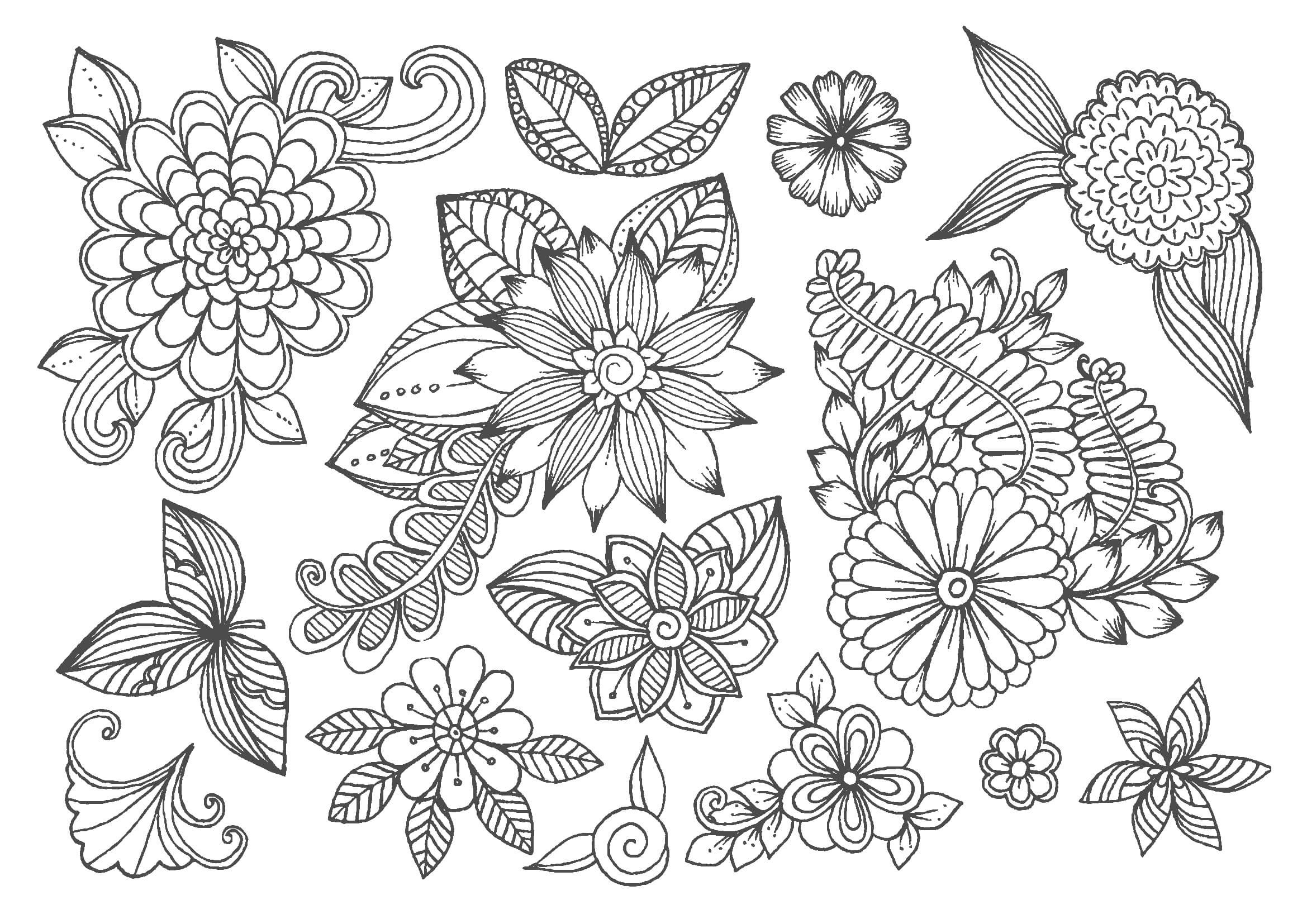 50 素晴らしい塗り絵 花 春 最高の花の画像