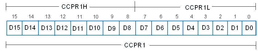 CCPR1H và CCPR1L đăng ký