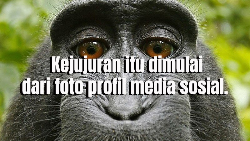 16+ Ide Foto Profil Lucu, Foto Profil