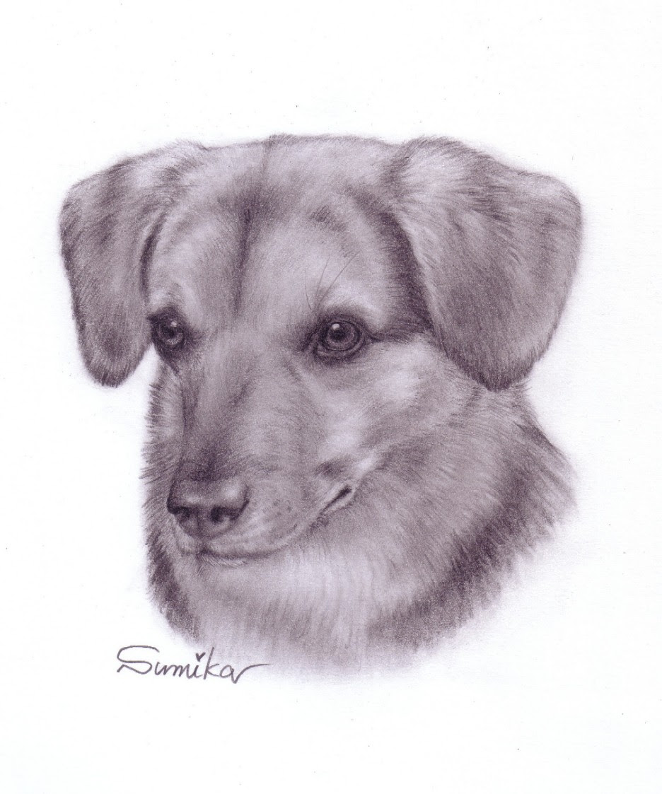 選択した画像 手書き 犬 イラスト リアル 鉛筆 Jokiotelublogimg