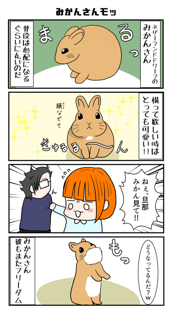 ユニークうさぎ の 仕草 すべての動物画像