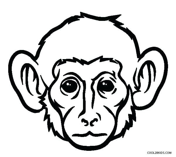 Realistic Monkey Face Drawing