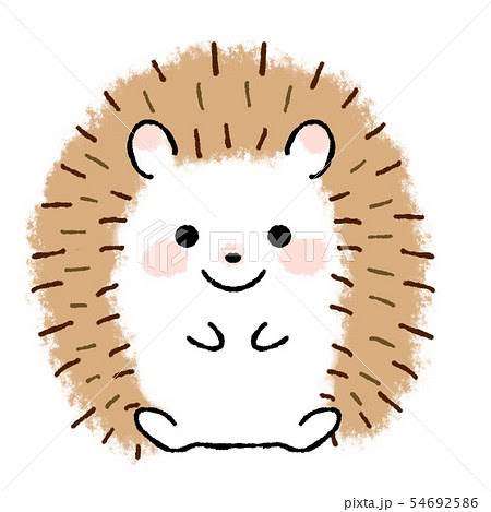 印刷 おしゃれ ふわふわ 可愛い 女の子 ハリネズミ イラスト かわいい フリー