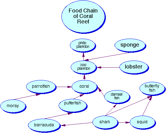 Reefs are formed of colonies of coral polyps held together by calcium carbonate. Coral Reef 5 Biomes Of The World