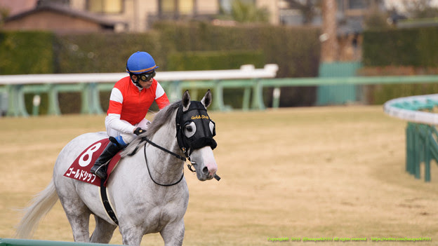 宝塚記念 2021 出走予定馬・予想オッズ 阪神2200芝 6/27 15:40発走 1 ユニコーンライオン 牡5 58.0 坂井 34.8 2 レイパパレ 牝4 56.0 川田 2.4 å®å¡šè¨˜å¿µ 2015ã®å‡ºèµ°äºˆå®šé¦¬ ã‚´ãƒ¼ãƒ«ãƒ‰ã‚·ãƒƒãƒ—ã‚‰åˆ†æž