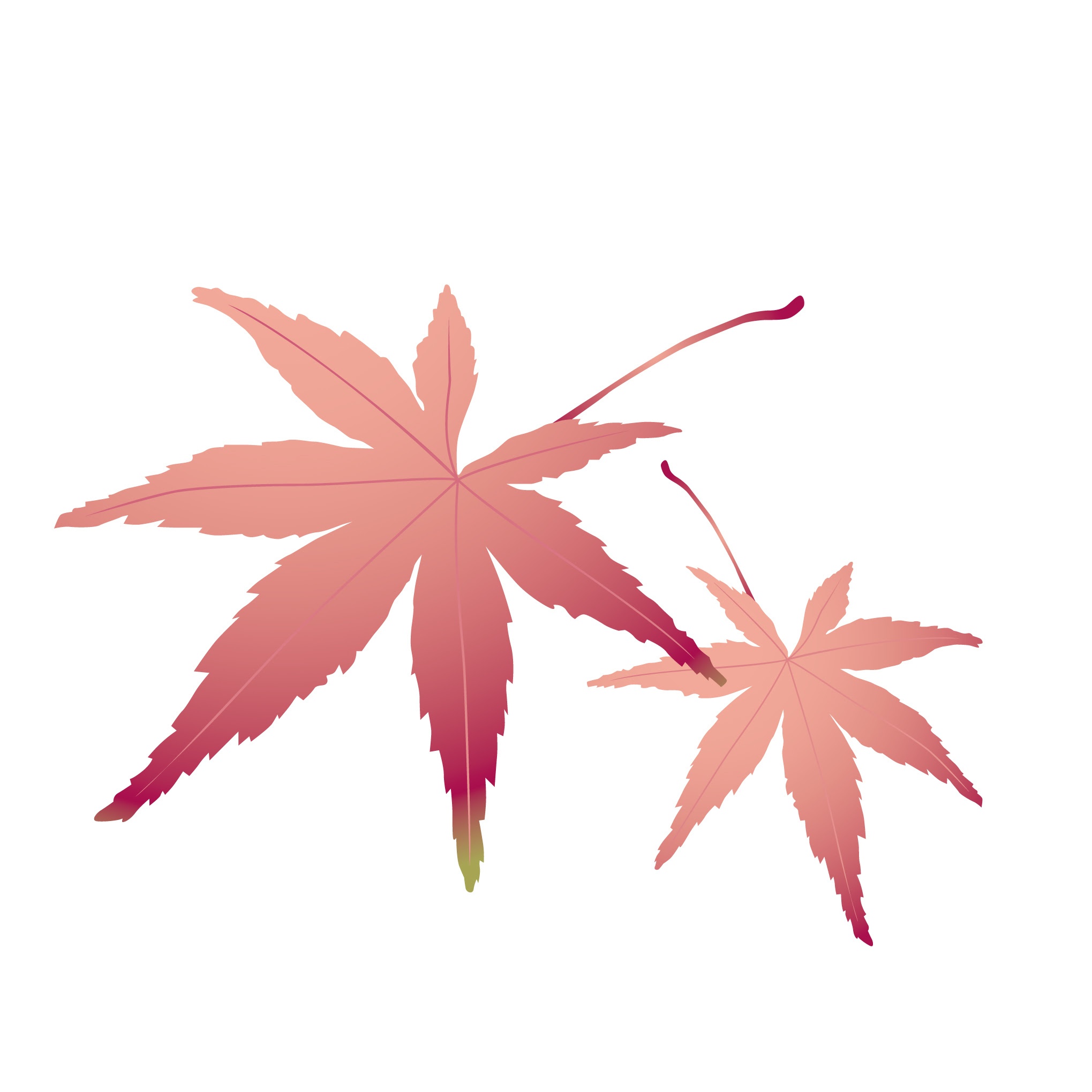50 11月 花 イラスト 動物ゾーン