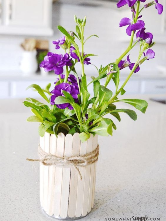 Vaso de plantas de palito de picolé