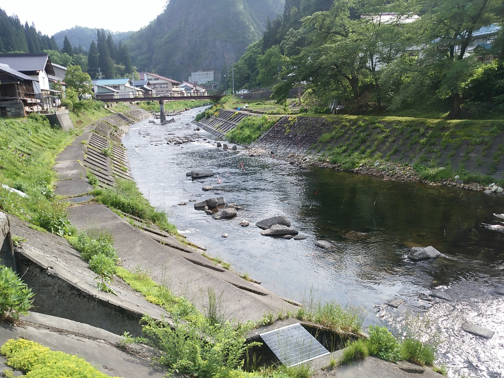 愛されし者 うなぎ釣り ポイント