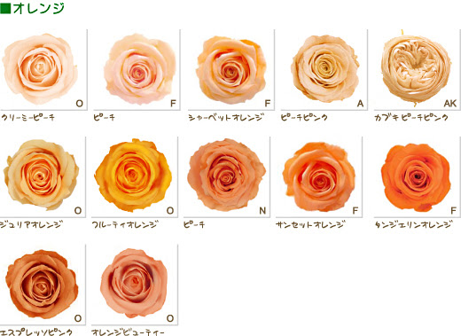 すべての美しい花の画像 75 バラ 種類 色