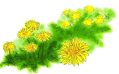 100以上 たんぽぽ イラスト 簡単 3437 かわいい たんぽぽ イラスト 簡単