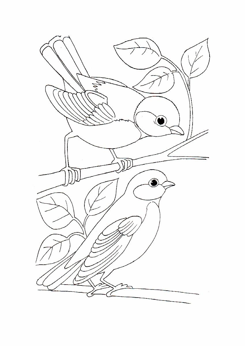 Download or print the image below. Simple Bird Coloring Pages At Getdrawings Free Download