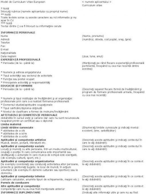 Curriculum Vitae: Curriculum Vitae Format European Limba ...