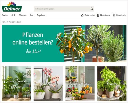 Dehner gartencenter filialen in der nähe. Online Blumen Versand De Blumenstrauss Verschicken Gunstige Pflanzen Bestellen