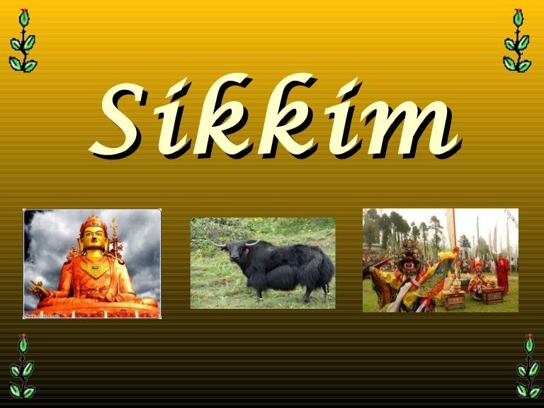 Sikkim Animals Name In Hindi North East Sikkim Birds