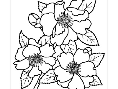 √無料でダウンロード！ 花 春 塗り絵 174126-塗り絵 無料 花 春