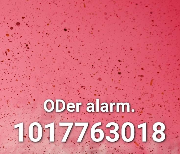 Buy 90 Robux Alarm Roblox Id - roblox scp alarm