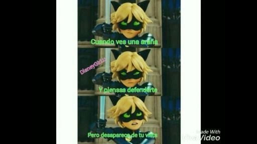Memes De Chat Blanc Miraculous Ladybug En Espanol