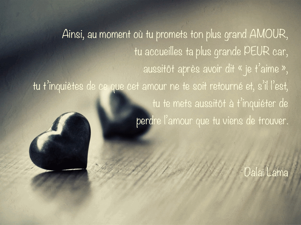 Citation Damour Et De Bonheur Best Citations D Amour