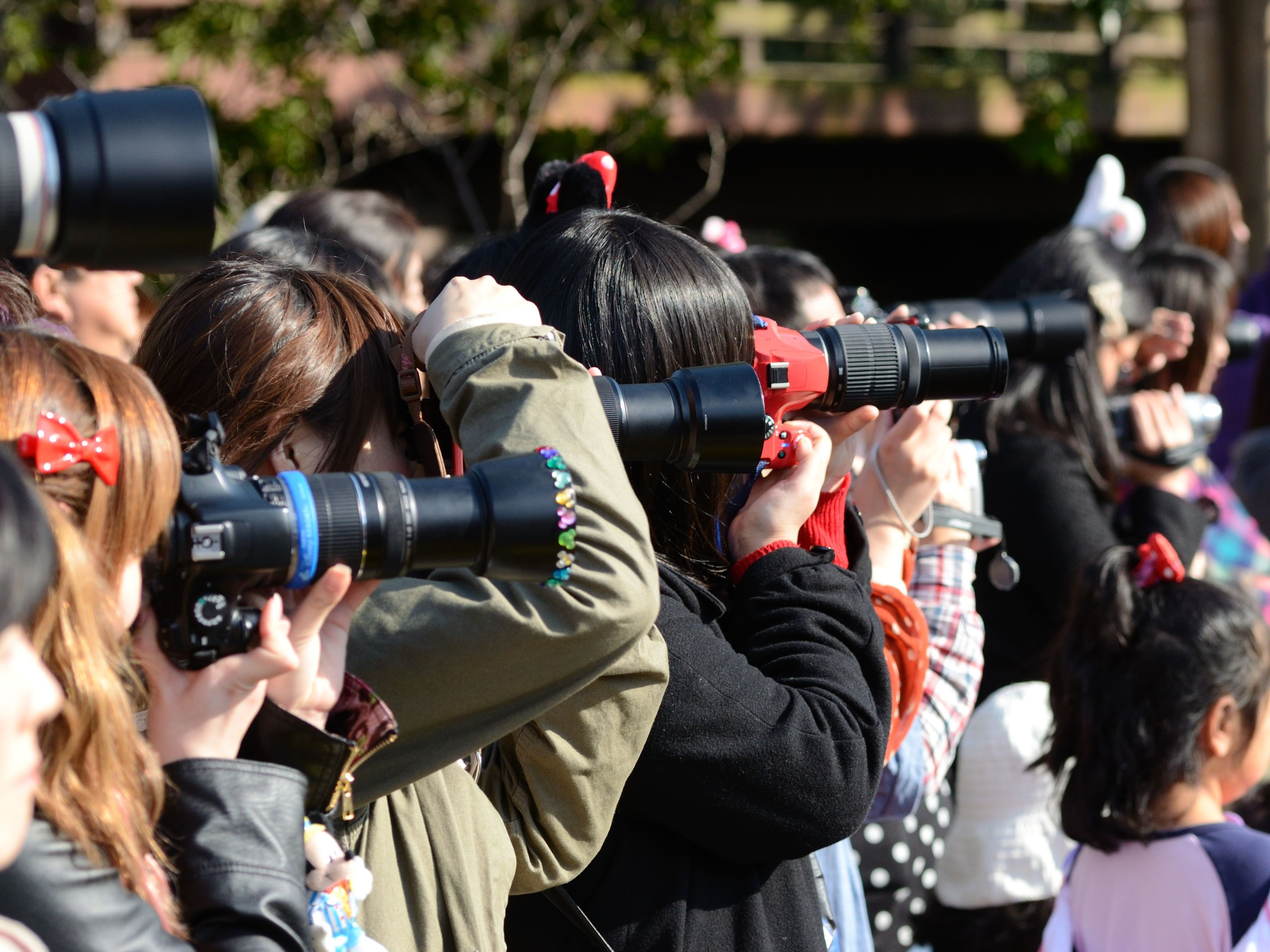 ラブリー一眼 レフ ケース ディズニー ただのディズニー画像