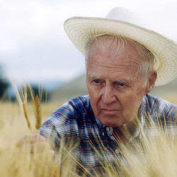 norman borlaug