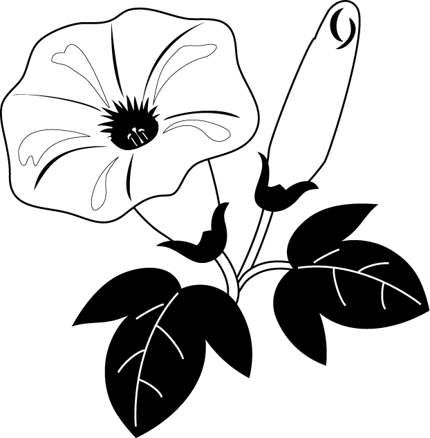 印刷可能 朝顔 イラスト 簡単 白黒 Ituirasuto